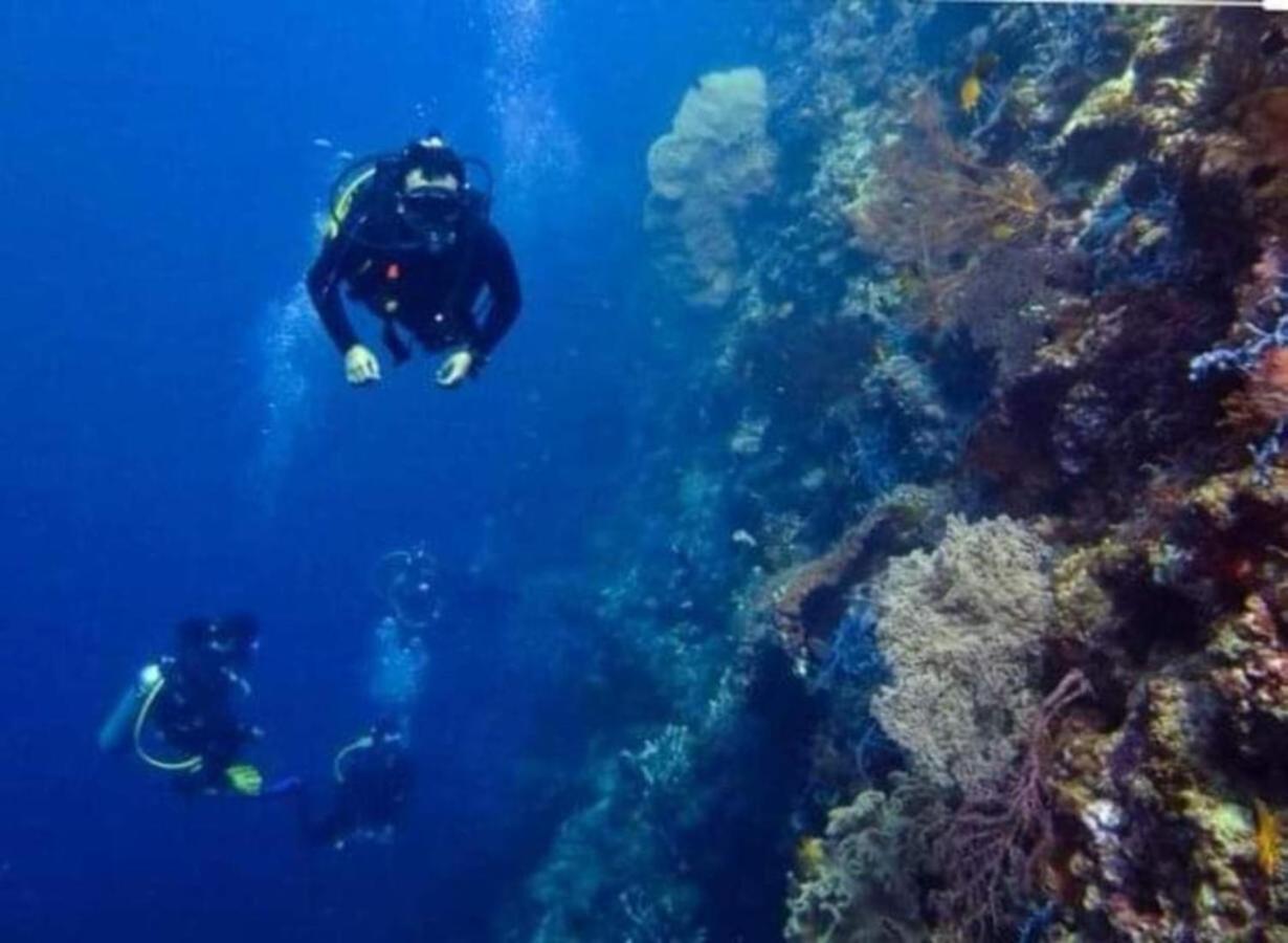 Maha Nusa Menjangan Banyuwedang Eksteriør bilde